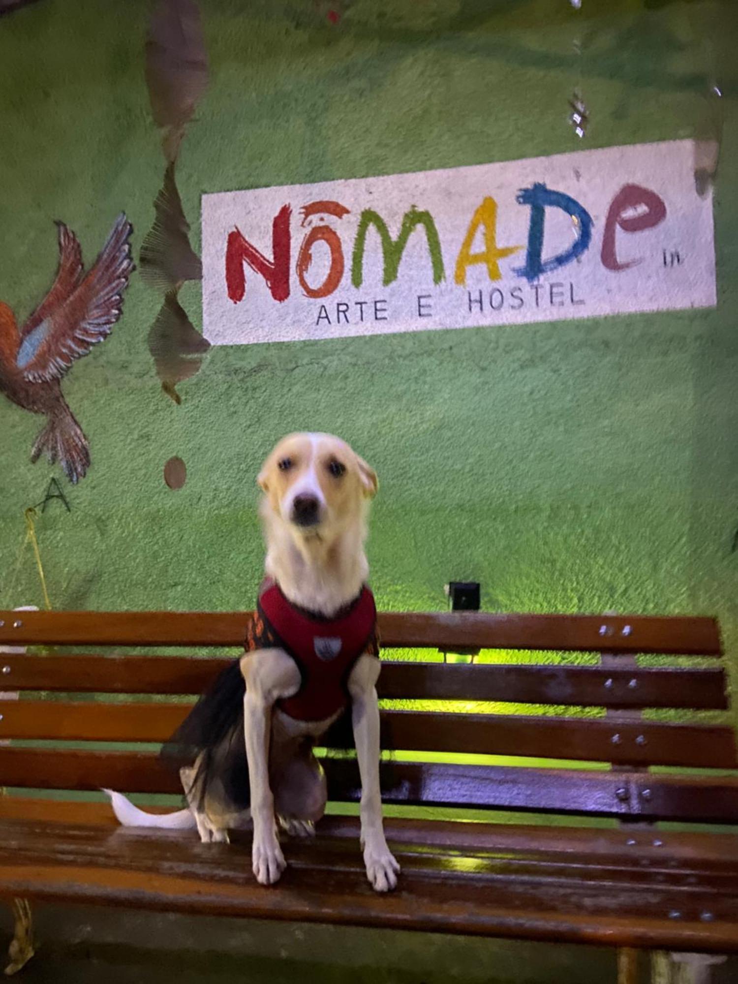 Nomade In Arte E Hostel סאו פאולו מראה חיצוני תמונה